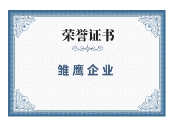 雏鹰企业